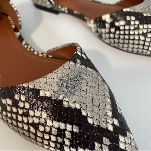 NWOT Coach Snakeskin Flats - Picture 2 of 7